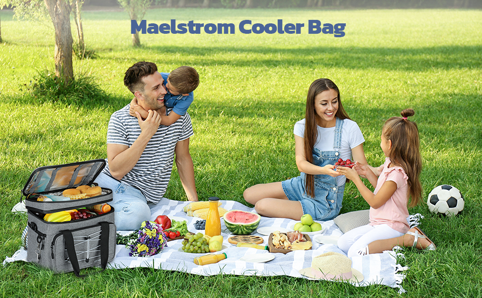 cooler bag301